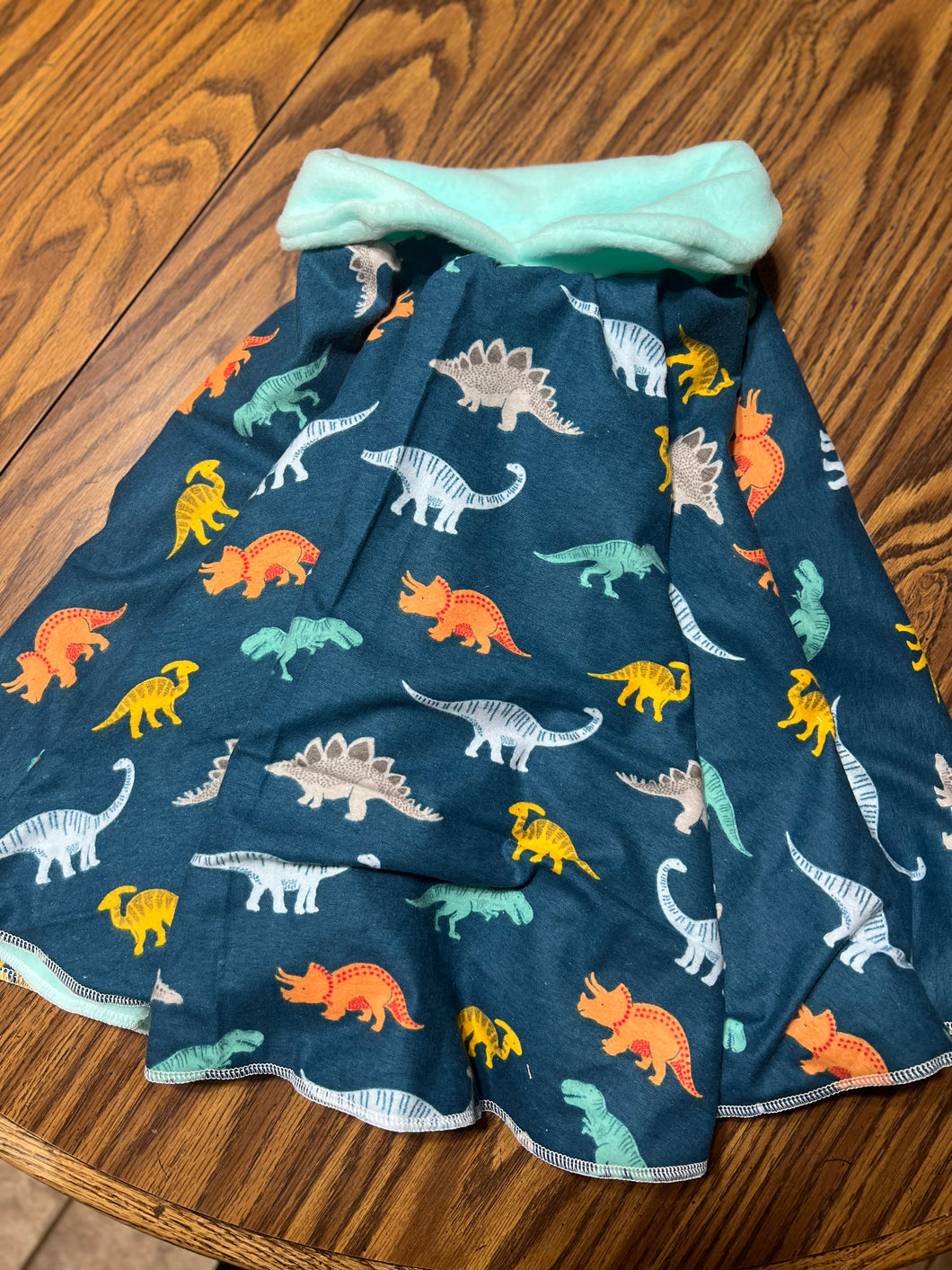 Dinosaur Car Seat Ponchos